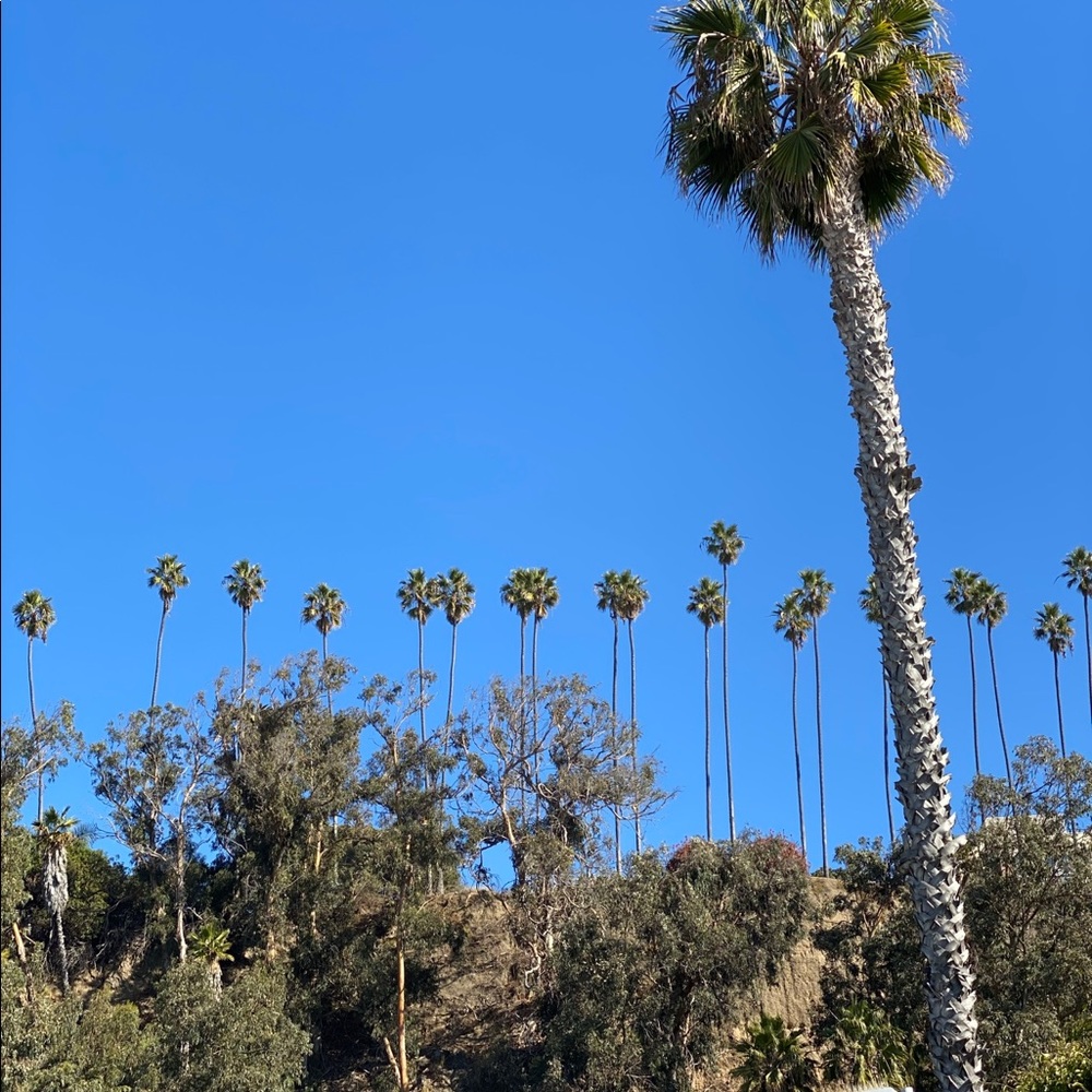 Meet your Posher, blue sky.